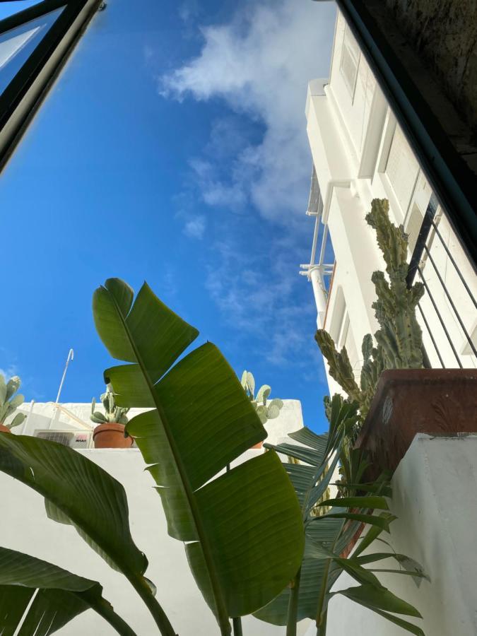 Suites Edivino Design Capri Kültér fotó