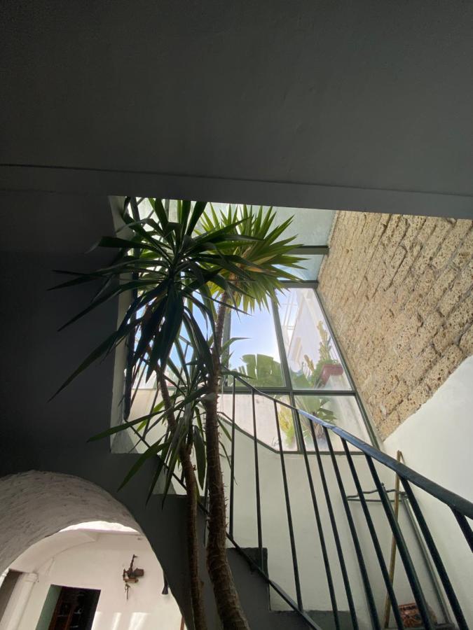 Suites Edivino Design Capri Kültér fotó